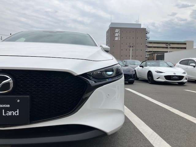 LEDヘッドライトは片側20分割の単眼ユニットを採用。より細かい照射範囲のコントロールとハイビーム時の上方の光量アップを実現し、歩行者のいち早い視認をサポートします。