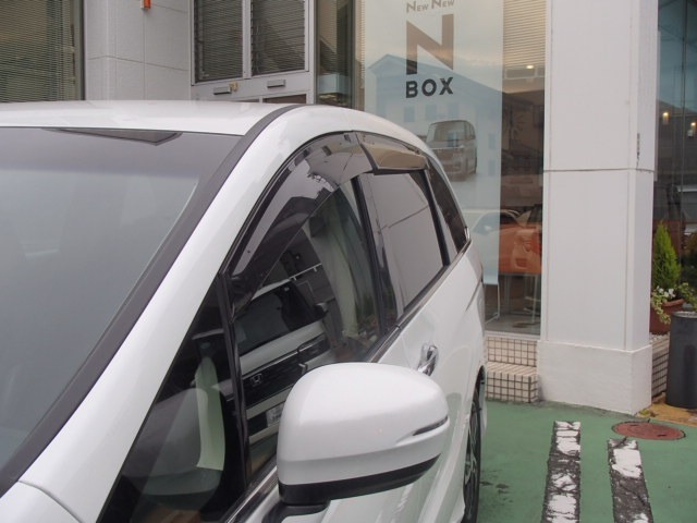 車内の空気の入れ替えだけでなく、雨天時の雨の入り込みや紫外線防止にも役立つドアバイザー装着済みです。
