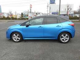 プライバシーを守ります。また、ラグジュアリーな一面も持ち合わせております。スモークガラスよりきっちり見えなくなるので、着替え等もへっちゃらかも？