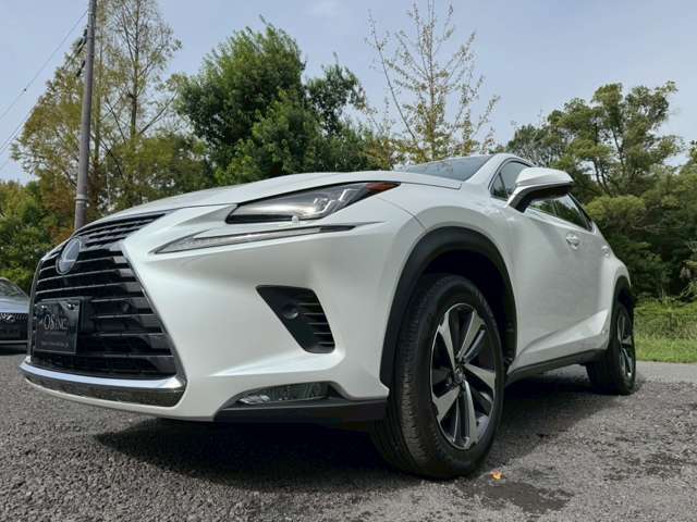 ◆外装は、ポリシャークリーニングでボディーの肌を整えます！ご購入頂きましたお客様からも大変ご好評でございます。