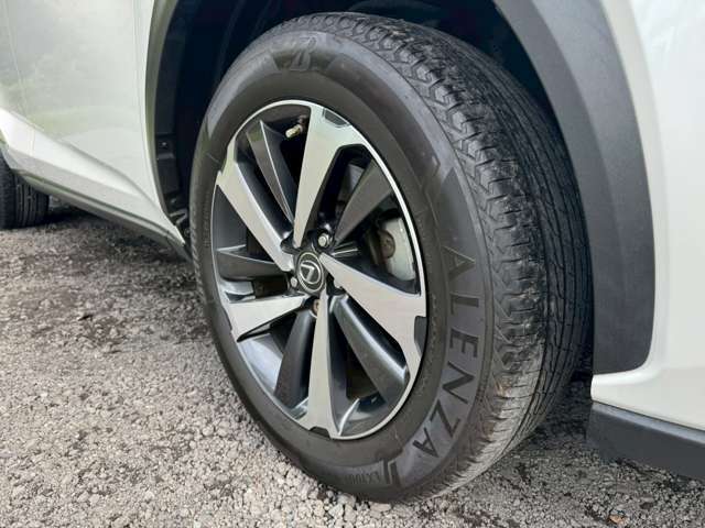 ◆掲載画像以外にも気になる箇所がございましたら、ご連絡ください！！メール等で送付させて頂きます！