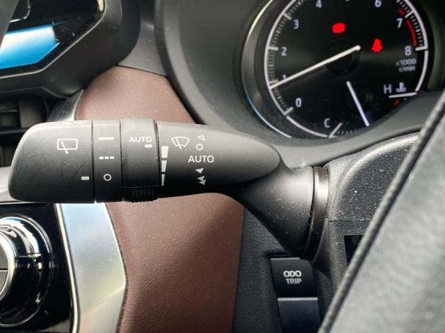 国産車から輸入車まで多様なお客様のニーズのお応えできるように、全国規模で豊富な在庫展開！車のことならWECARSへ！