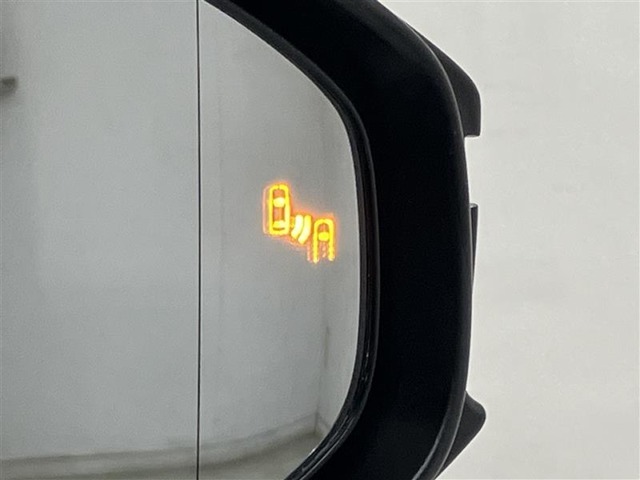 ブラインドスポットモニターです。見えづらい後方から近づく車を光で教えてくれるとてもありがたい機能です。