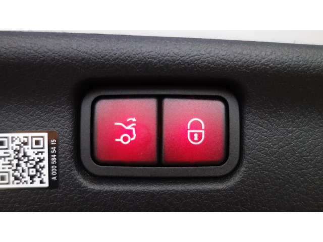 ドアハンドルには握りやすいグリップ形状が採用されています。空力面からは不利ですが、万一の事故の際など、車内に残された乗員を救出する為、外部からドアを開けやすいようになっています。