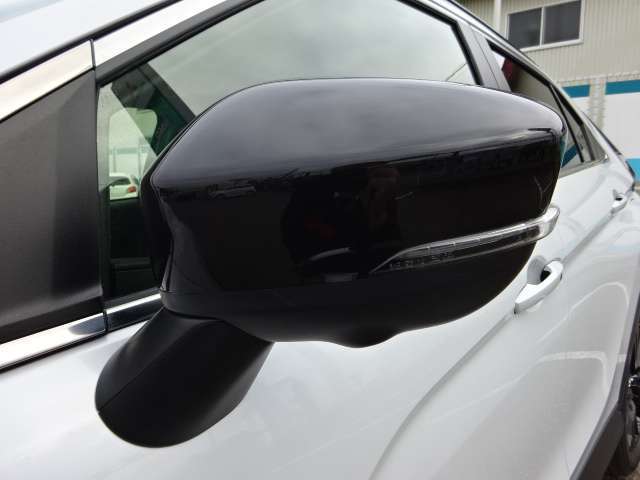 ドアミラーにウインカーがあるタイプです。