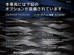 ◆オプション一覧