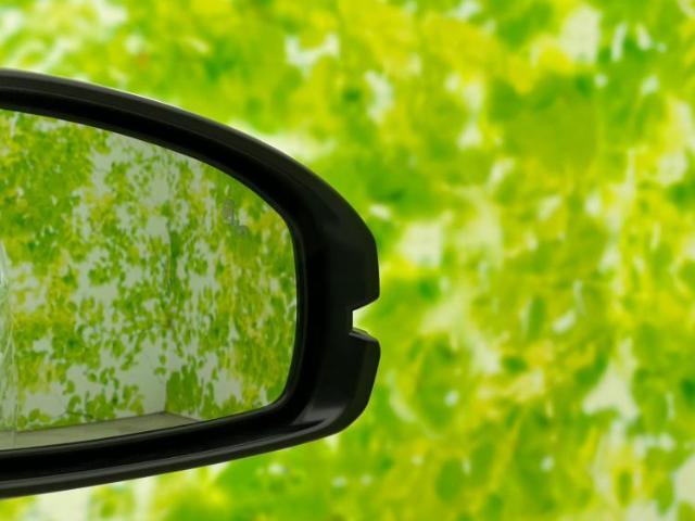 WECARSの展示場では実際に見て、触ってお車をお選びいただけます！知識の豊富な営業スタッフが様々なカーライフをご提案いたします！