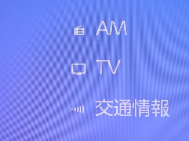 TVが見れるチューナーを装備しています。　新しい車でも付いていないことで、TVが見れない事も多々あるので要チェックです。