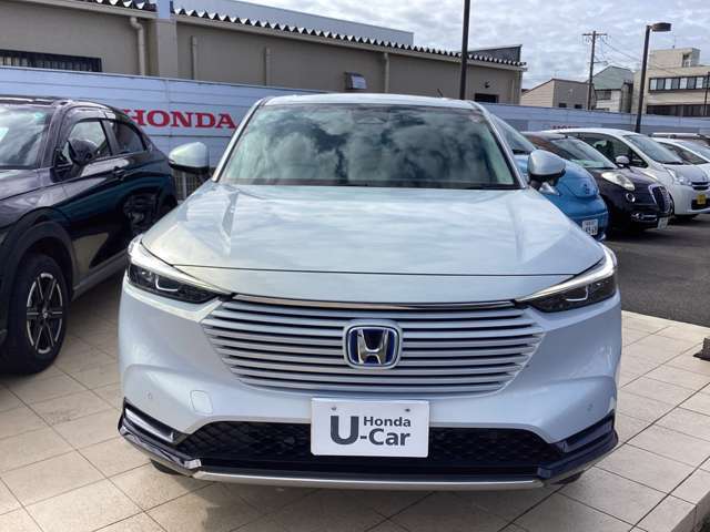 存在感あるフロントフェイス！