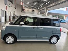 左横からの画像です