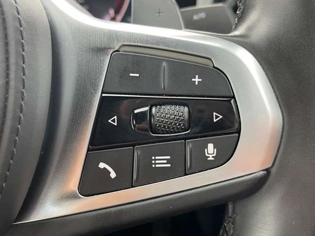 輸入車ディーラー採用のドライブレコーダーも選べます。万が一の事故際のお守りとしていかがでしょうか？その他さまざまなオプションをご用意しております。