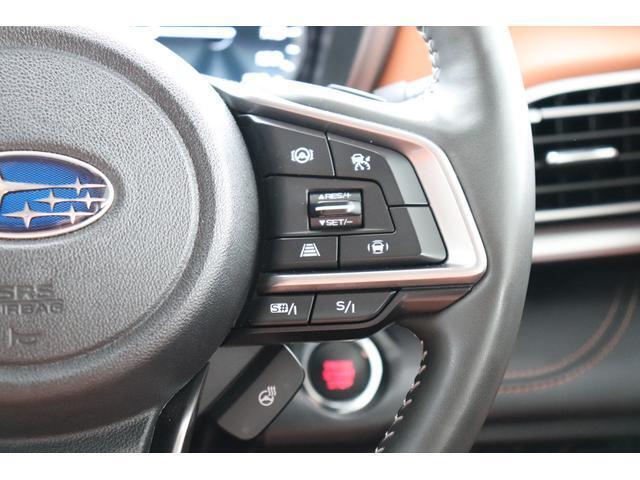 追従クルーズスイッチはこちら！ボタン押してカチッでクルーズ開始で簡単設計です！！！