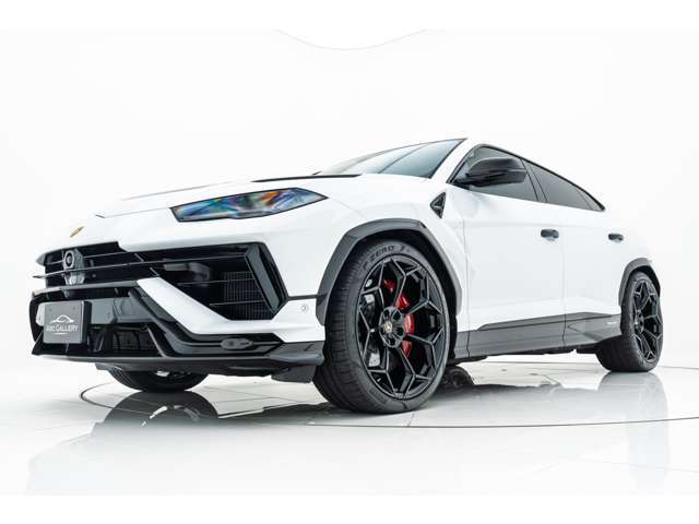 【メーカーオプション】●Kick-plates in carbon fiber - Shiny
