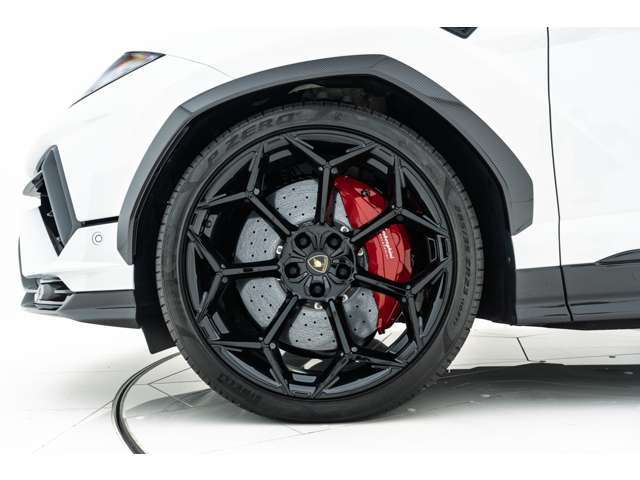 【メーカーオプション】●Red caliper