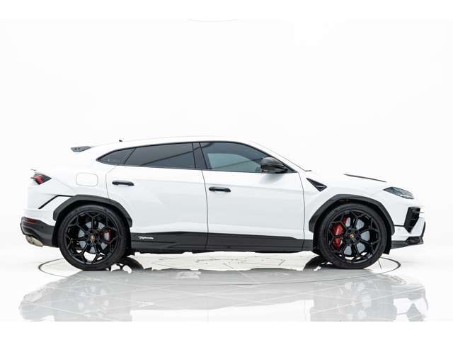 【メーカーオプション】●Rims Pelope 23 with titanium wheel bolts - Shiny Black