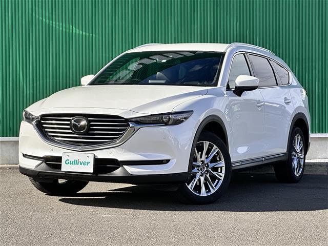 【左前画像】最新ナビ(フルセグ・DVD再生)・カロッツェリア・アルパイン・イクリプスのカーナビを取扱しており、バックカメラ(バックモニター)・後席モニター(フリップダウンモニター)の取付も可能です。