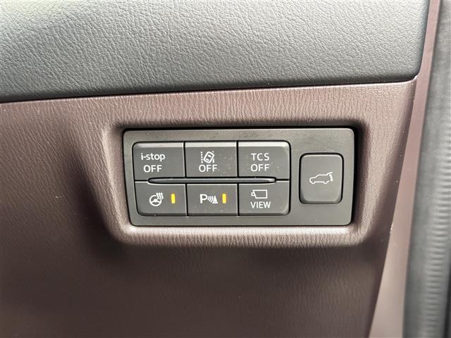 【車線逸脱警報システム（LDWS）】居眠り運転などでの車線のはみ出しを予測して、警告灯と警告音でドライバーに注意を促します！機能には限界があるためご注意ください。