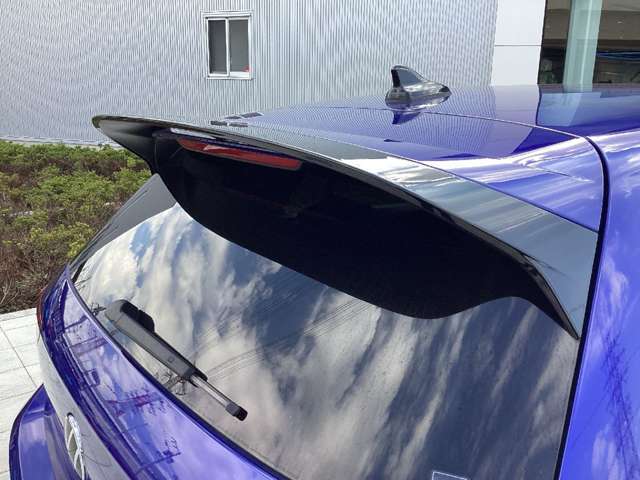 専用大型リアスポイラー