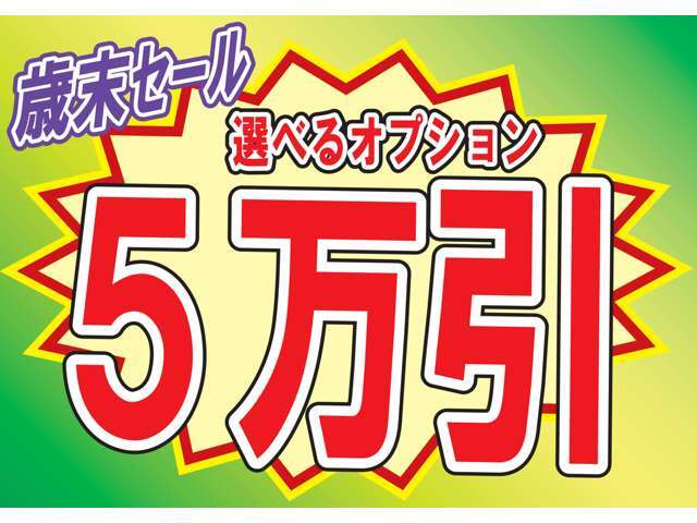 ！期間限定　12月27日まで！ ☆☆歳末セール実施中！！オプション5万引きセール実施中☆☆細かな条件・必須オプション無し！追加オプションより価格調整！！この機会を是非お見逃しなく((^^)