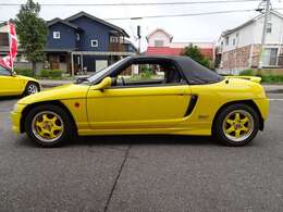 バックヤードサイドステップ