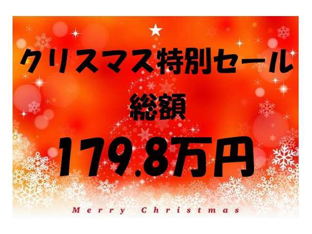 クリスマス特別セール、総額179.8万円！