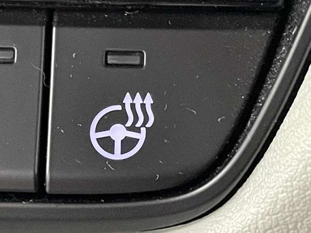 【運転席操作部】快適なドライブを楽しむための機能が装備されています！運転席から触れるので、使いやすいです！除菌プランいれていただくと、さらに清潔で安心していただけます！