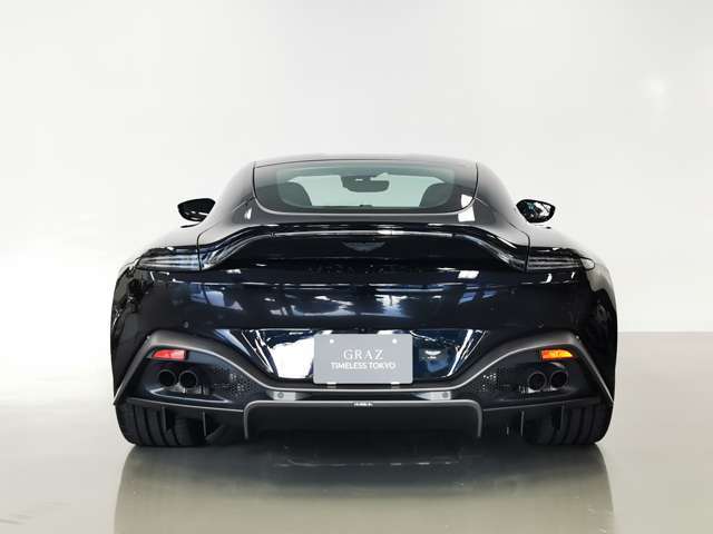 Tail light-Smoked。伝統のダックテールとLEDライトブレードの組み合わせは公道での存在感をはっきりと感じさせるデザインになっております。
