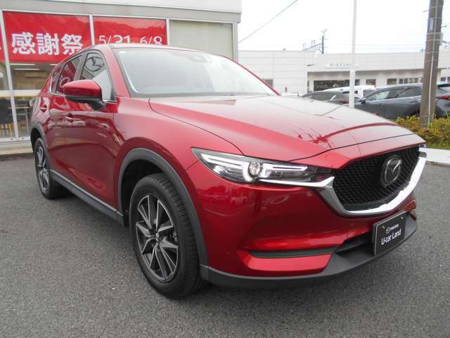 ガソリン車です