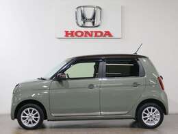 ボディカラーはアッシュグリーンメタリックです。