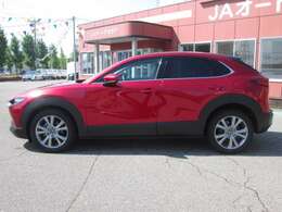 展示場には常時30台以上展示中！お探しの車がきっと見つかりますよ！