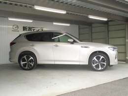 当社定休日は毎週火曜日と第2・3・4水曜日です。また長期連休を頂いている場合もございますので、詳しくはお問合せ下さい。