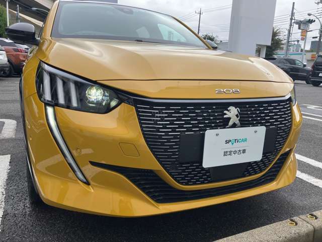 ライオンの牙をモチーフにしたデイタイムランニングライトがフロントフェイスを引き締めます！