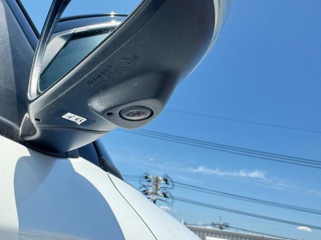 右ミラーカメラになります！！全方位の際車両右側を映し出してくれます！！