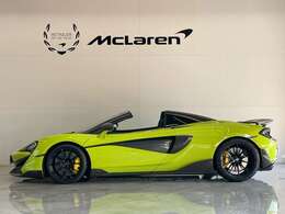 エリ-トペイント『ライムグリーン』