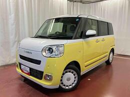 ★☆2トーンの可愛くておしゃれなキャンバス、ストライプス入荷しました☆★