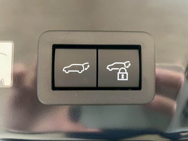 【電動リアゲート】ボタンひとつで大きなゲートも簡単に開閉可能です。高級車ならではの装備は嬉しいですね。