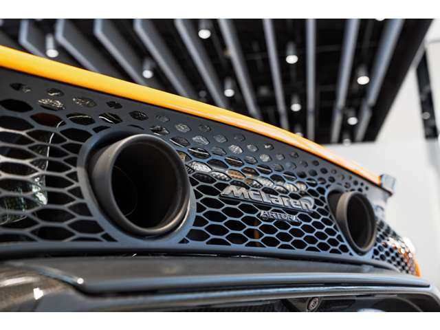 スポーツエキゾーストでございまして、ステルスにペイントされております。