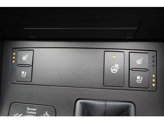 純正オプション、黒本革シート、ベンチレーション機能付きシートヒーター、新車時のみ注文できるオプションです
