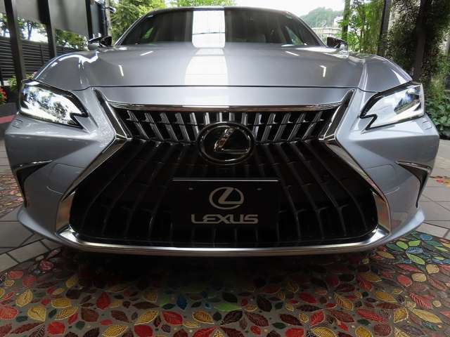 改良熟成された最終型ファイナルモデルです。意匠変更デザインを与えた顔（フロント） 立体的な多面体構造とすることで、グッと押し出し感を強調したスピンドルグリル！新しさと高級感を飛躍的に向上させました。