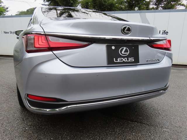 『心を揺さぶるエモーショナルなセダンを作る』。この強い想いが、LEXUS世界戦略車『ES300h』の出発点。セダンの快適性をそのままに、乗る人はもちろん、街で目にする人にも、高揚感をもたらす美しいデザインです。