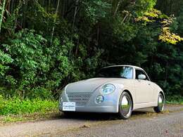 鮮やかなグリーンとともに。どんな情景にも映えるラピスグレイは、どこを走っていても様々な人の目に特別な印象を与えてくれることでしょう。別途メッキのバンパーなどを装着することでよりスタイリッシュに。