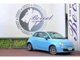 アイコニックな顔つき(^^♪