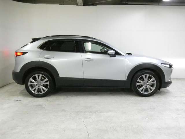 1オーナー/360度ビューモニター/ブラックルーフレール/パワーバックドア/BSM/アダプティブクルコン/パワーシート/禁煙車/1年保証付き