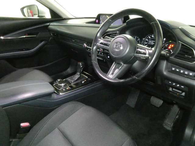 1オーナー/360度ビューモニター/ブラックルーフレール/パワーバックドア/BSM/アダプティブクルコン/パワーシート/禁煙車/1年保証付き