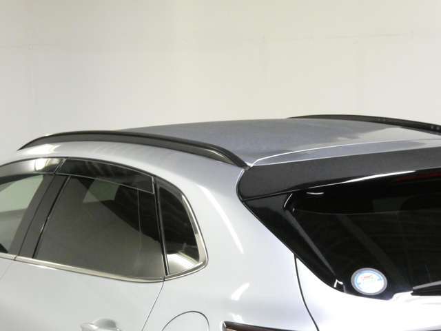 1オーナー/360度ビューモニター/ブラックルーフレール/パワーバックドア/BSM/アダプティブクルコン/パワーシート/禁煙車/1年保証付き