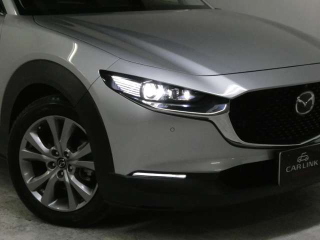 1オーナー/360度ビューモニター/ブラックルーフレール/パワーバックドア/BSM/アダプティブクルコン/パワーシート/禁煙車/1年保証付き