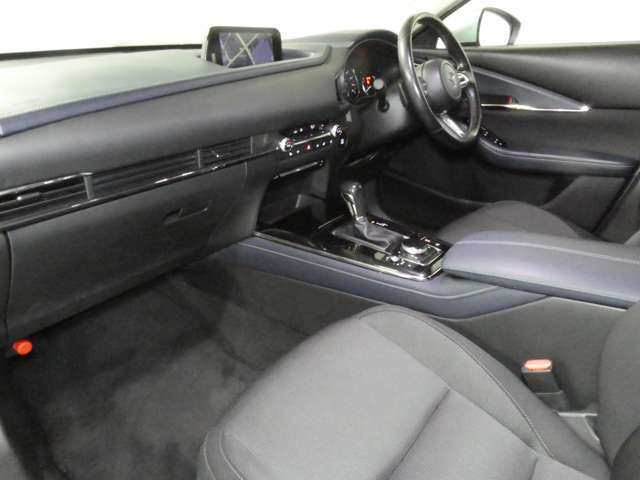 1オーナー/360度ビューモニター/ブラックルーフレール/パワーバックドア/BSM/アダプティブクルコン/パワーシート/禁煙車/1年保証付き