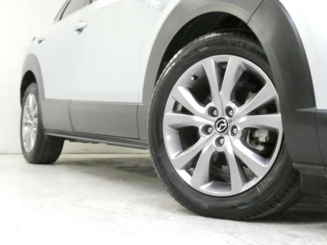 1オーナー/360度ビューモニター/ブラックルーフレール/パワーバックドア/BSM/アダプティブクルコン/パワーシート/禁煙車/1年保証付き