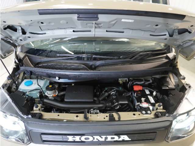 日常手を入れないエンジンルーム・タイヤハウス・ドア開口部など見えない所もキレイにしています。