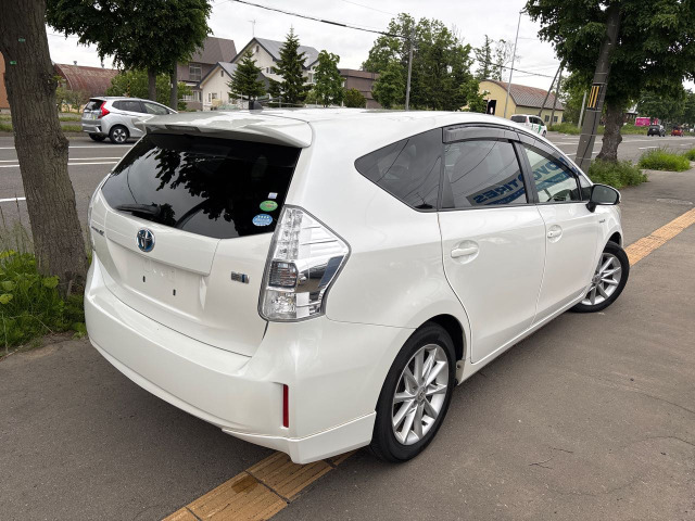 天井もきれいですよ